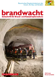 Brandwacht 3_2017 Störche.jpg