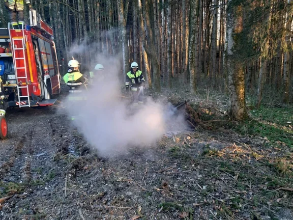 2020-03-24 Holzerfeuer1.jpg