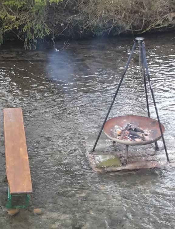 2018Kaltwasser1.jpg