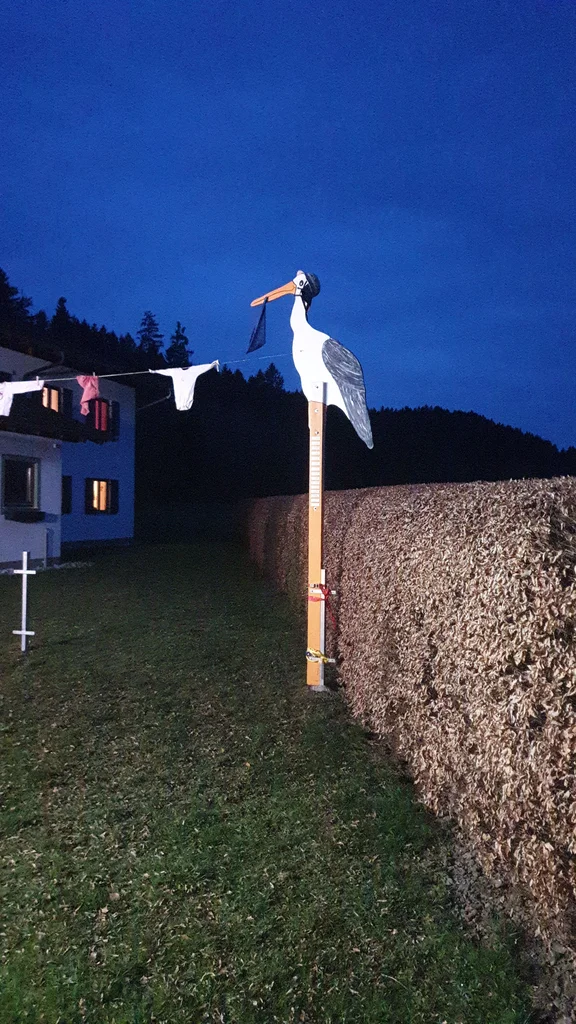 IMG-20190404-WA0006.jpeg