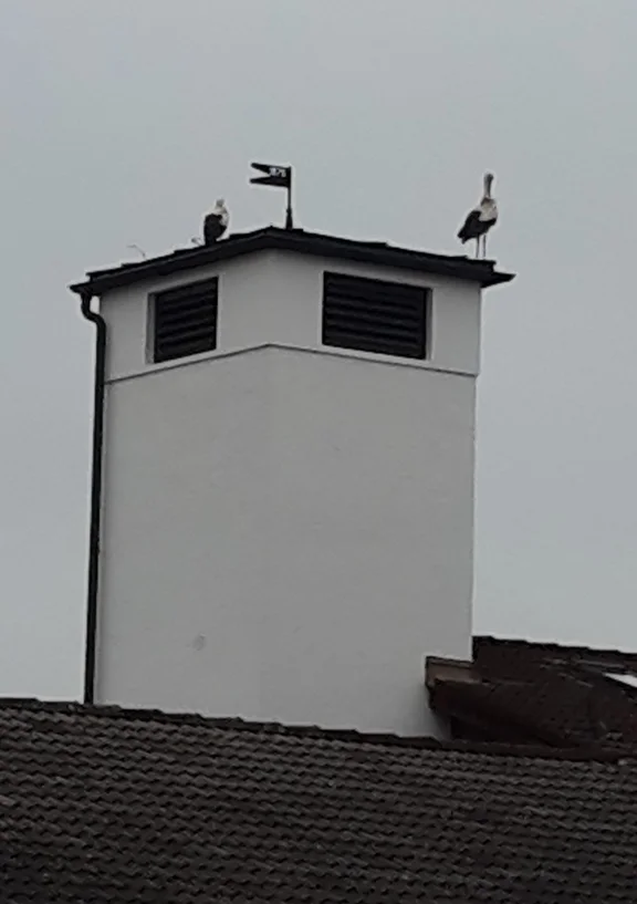 20170325_103832.jpg