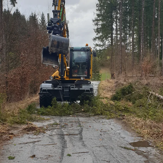 2020-02-10 Rechetsberg1.jpg